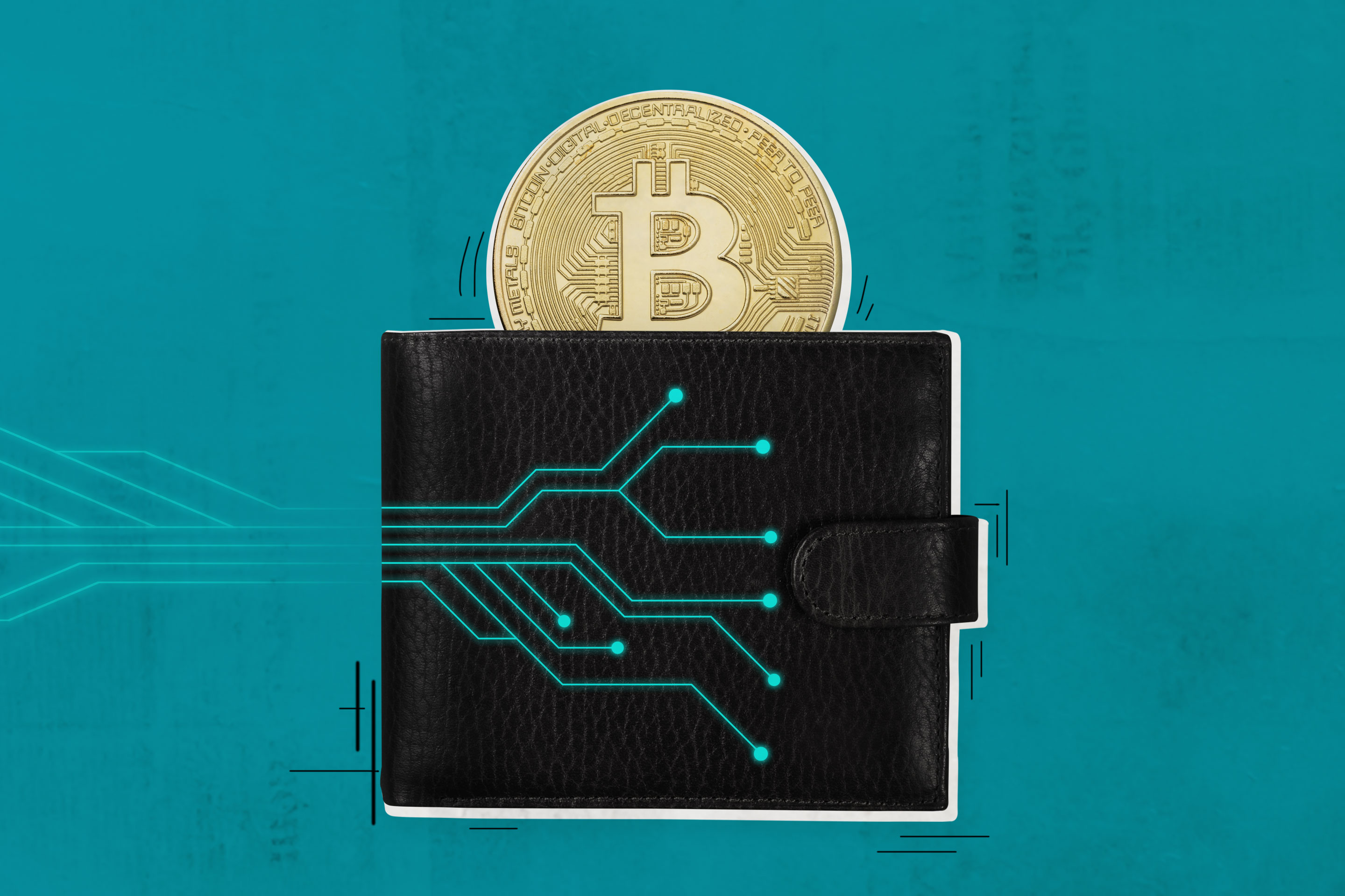 Cryptocurrency Wallets